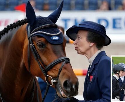 Did Princess Anne Just Speak Horse? At a recent equestrian event, spectators SWEAR they saw Princess Anne lean down, whisper something in French… and the horse nodded before going on to win the round. Twitter instantly dubbed her the “Royal Dr. Dolittle”, while TikTok crowned her the “Horse Queen of Europe.” One viral comment summed it up: “I can’t get my dog to sit in English — Anne out here coaching horses in French”