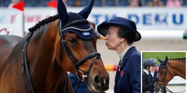 Did Princess Anne Just Speak Horse? At a recent equestrian event, spectators SWEAR they saw Princess Anne lean down, whisper something in French… and the horse nodded before going on to win the round. Twitter instantly dubbed her the “Royal Dr. Dolittle”, while TikTok crowned her the “Horse Queen of Europe.” One viral comment summed it up: “I can’t get my dog to sit in English — Anne out here coaching horses in French”