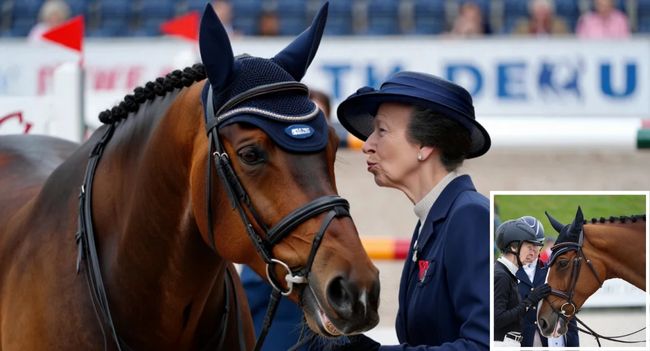 Did Princess Anne Just Speak Horse? At a recent equestrian event, spectators SWEAR they saw Princess Anne lean down, whisper something in French… and the horse nodded before going on to win the round. Twitter instantly dubbed her the “Royal Dr. Dolittle”, while TikTok crowned her the “Horse Queen of Europe.” One viral comment summed it up: “I can’t get my dog to sit in English — Anne out here coaching horses in French”