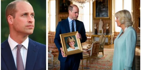 When Prince William Stepped Into the Royal Drawing Room, He Immediately Noticed Something Was Missing — the Framed Photograph of His Late Mother That Had Stood in the Same Spot for Decades. What He Learned Next, That Queen Camilla Herself Had Ordered It Removed, Sent Shockwaves Through the Palace and Stirred a Wave of Public Speculation About What Really Happened Behind Closed Doors, the Conversation That Followed, and How This Single Moment Could Deepen Tensions Within the Royal Family. A Royal Guard revealed Prince Harry’s reaction that shocked the entire castle