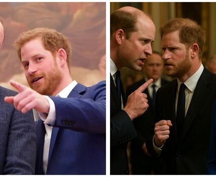 Prince William and Prince Harry reunited at Princess Anne’s birthday party. Neither of them would give in, the two princes had a big conflict in the middle of the party, making Princess Anne very disappointed on her own birthday. She said something about Queen Diana that made everyone at the party cry, even the two princes couldn’t hold back their tears.
