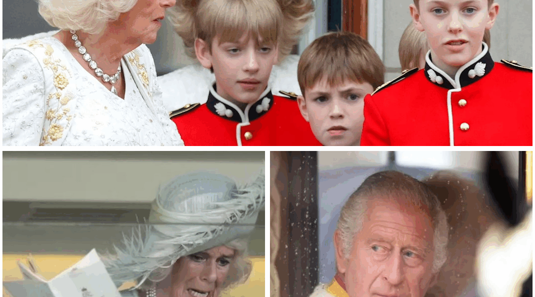“ABSOLUTELY NOT!” – King Charles Blocks Camilla’s Grandkids from Royal Privileges… and she had to face a punishment no one saw coming