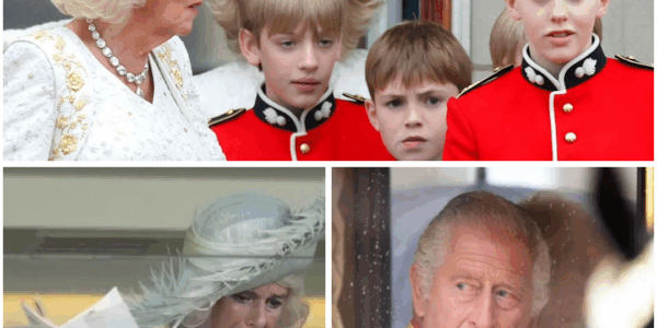 “ABSOLUTELY NOT!” – King Charles Blocks Camilla’s Grandkids from Royal Privileges… and she had to face a punishment no one saw coming