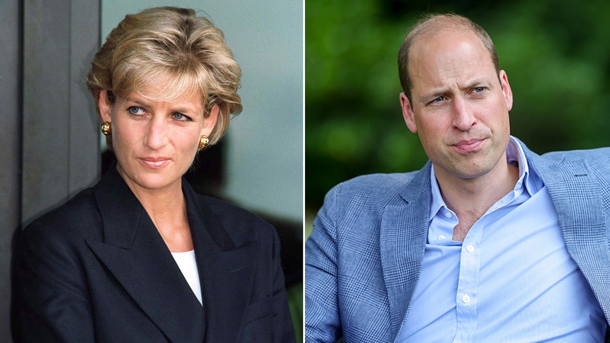 Hoàng tử William trông cậy vào Công nương Diana để được hướng dẫn khi chiến  đấu qua 'năm tàn khốc': các chuyên gia