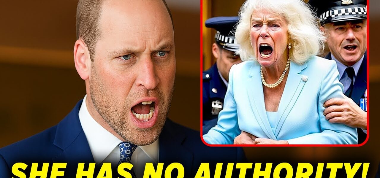 HOURS AGO: Prince William’s Stern Warning To Camilla As She Removed Diana’s Statue From Kensington Palace STUNS The King