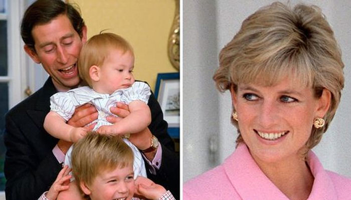 Princess Diana 'heartbreak' as Harry no longer 'revenge' against Prince  Charles