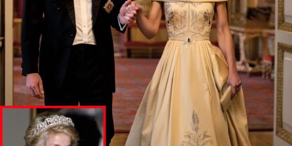 Catherine STEALS ALL EYES in Stunning Flower Gown and Princess Diana’s Precious Jewelry Necklace That Meghan Markle NEVER HAD Catherine STEALS ALL EYES in Stunning Flower Gown and Princess Diana’s Precious Jewelry Necklace That Meghan Markle NEVER HAD