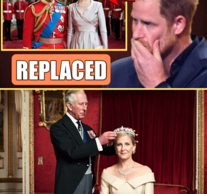 ROYALS SH0CKED! King Charles To Pass SUSSEX TITLE To Duchess Sophie After Clarence House Reunion With Youngest Son – Prince Harry Silently Left the UK in Fury