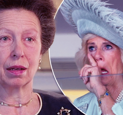 Unprecedented in Royal History! Princess Anne Granted Special Privilege on Her 75th Birthday, Leaving Queen Camilla Fuming