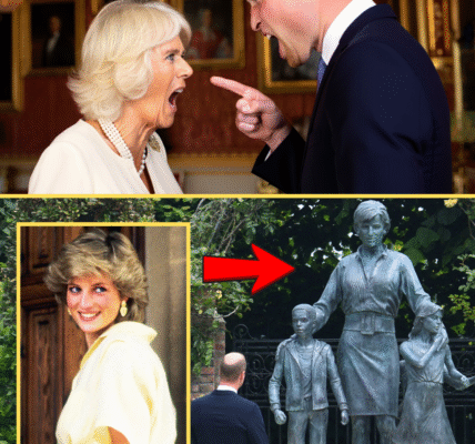 HOURS AGO: Prince William’s Stern Warning To Camilla As She Removed Diana’s Statue From Kensington Palace STUNS The King