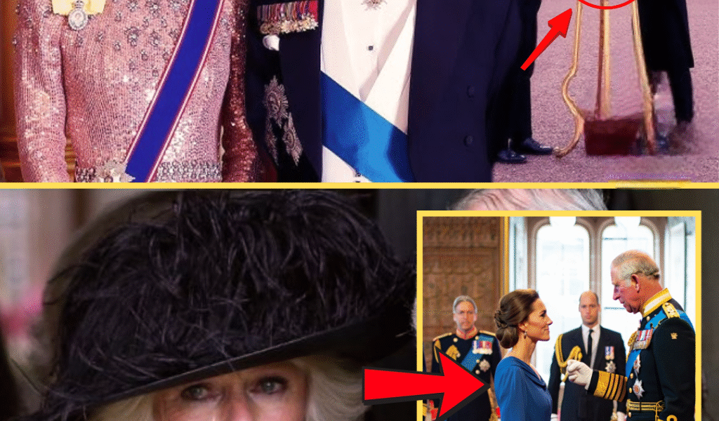 UNPRECEDENTED In British Royal History: King Charles Names ‘Daughter’ Catherine Heir to Billion-Dollar Estate, Leaving Palace Stunned and Camilla Speechless
