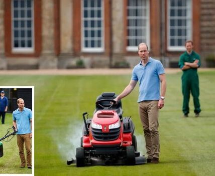 Even princes try to live like “normal people”… but not always successfully.  At Sandringham, Prince William reportedly decided to mow the lawn himself — determined to push the mower like any ordinary bloke. It started well. Staff said he looked “quite pleased with himself”… until 10 minutes in when the mower sputtered, wheezed, and died completely.  The gardener’s verdict? Brutal but hilarious: “The future king cannot be trusted with machinery”