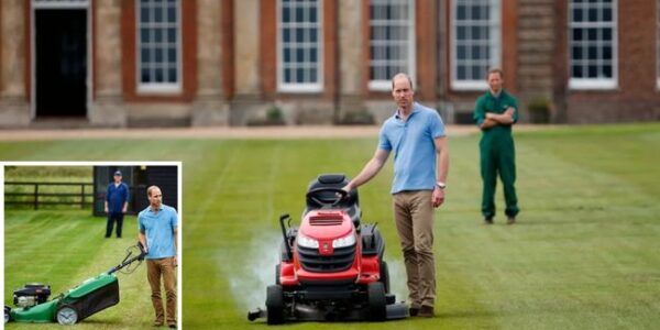 Even princes try to live like “normal people”… but not always successfully.  At Sandringham, Prince William reportedly decided to mow the lawn himself — determined to push the mower like any ordinary bloke. It started well. Staff said he looked “quite pleased with himself”… until 10 minutes in when the mower sputtered, wheezed, and died completely.  The gardener’s verdict? Brutal but hilarious: “The future king cannot be trusted with machinery”