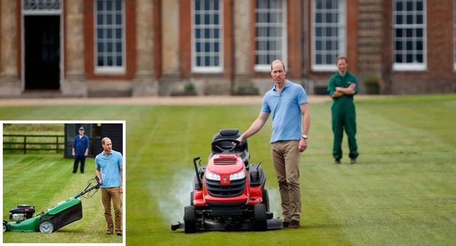 Even princes try to live like “normal people”… but not always successfully.  At Sandringham, Prince William reportedly decided to mow the lawn himself — determined to push the mower like any ordinary bloke. It started well. Staff said he looked “quite pleased with himself”… until 10 minutes in when the mower sputtered, wheezed, and died completely.  The gardener’s verdict? Brutal but hilarious: “The future king cannot be trusted with machinery”