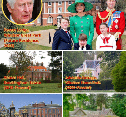 Prince William & Catherine’s FOREST LODGE Move IGNITES ROYAL STORM! The Price Must Be Paid SH0CKS Fans!