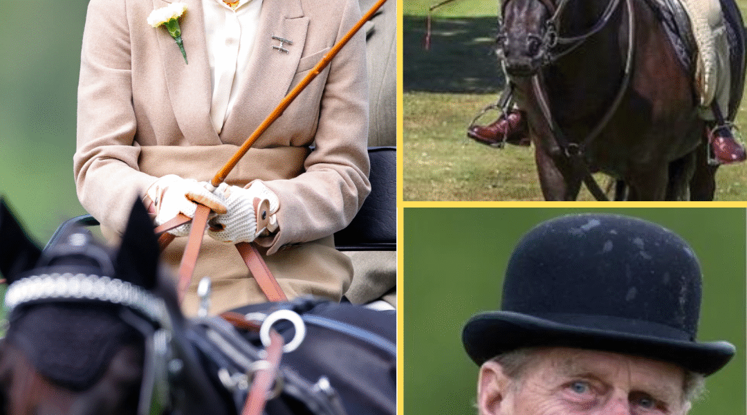 ROYALS IN SH0CK! Prince Edward’s Daughter RETURNS To The Royal Fold Amid Huge Decision