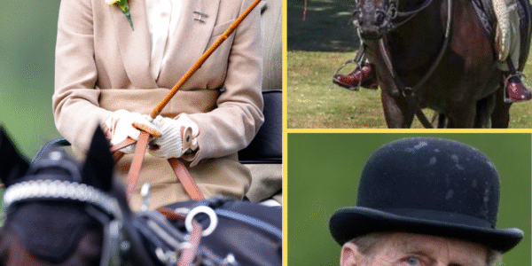 ROYALS IN SH0CK! Prince Edward’s Daughter RETURNS To The Royal Fold Amid Huge Decision ROYALS IN SH0CK! Prince Edward’s Daughter RETURNS To The Royal Fold Amid Huge Decision