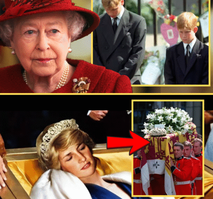 Discover how Queen Elizabeth put ban on two things after Princess Diana d.ea/th to protect William and Harry