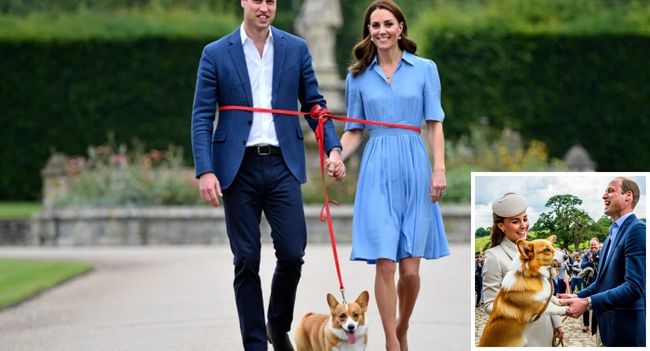 Corgi Cupid strikes again! During a quiet countryside walk, one playful royal corgi decided to steal the spotlight… and the hearts of everyone watching. Locals say the mischievous pup wrapped its leash around Prince William and Princess Kate, leaving them no choice but to be pulled closer—until their hands met. William, with his trademark humor, laughed: “Even the dogs follow us.” Kate, smiling warmly, replied: “The smartest advisers in the palace.”  It was a moment of pure magic—unscripted, unpolished, and unforgettable. The crowd couldn’t help but cheer, and within hours, whispers of “Corgi Cupid” were making their way across social media