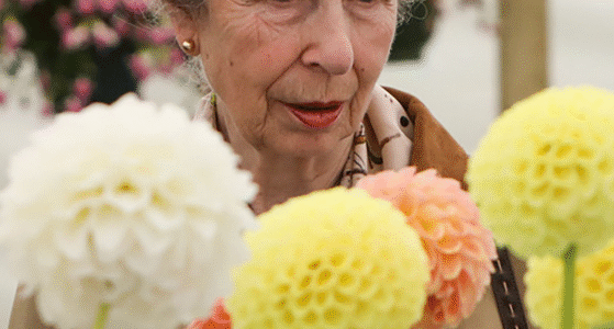 Princess Anne’s shocking birthday ‘edict’ — Princess Anne’s quiet 75th birthday act has rocked the royal family. No lavish parties. No fanfare. Just decades of dedication to causes—and a gesture that has left insiders whispering. With the palace watching in stunned silence, one question remains: Did Anne just redefine what it means to be royal… forever? The shock no one expected