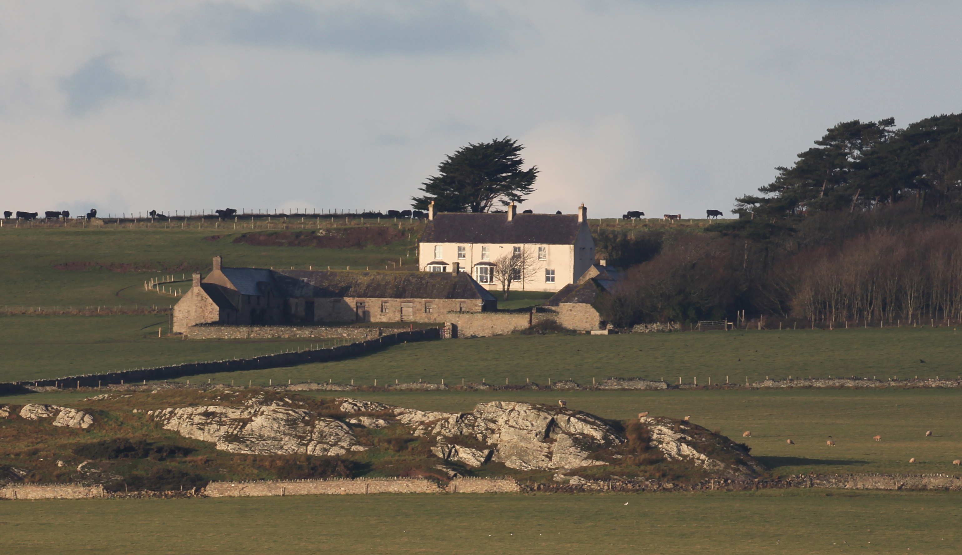 Anglesey Cottage in Wales