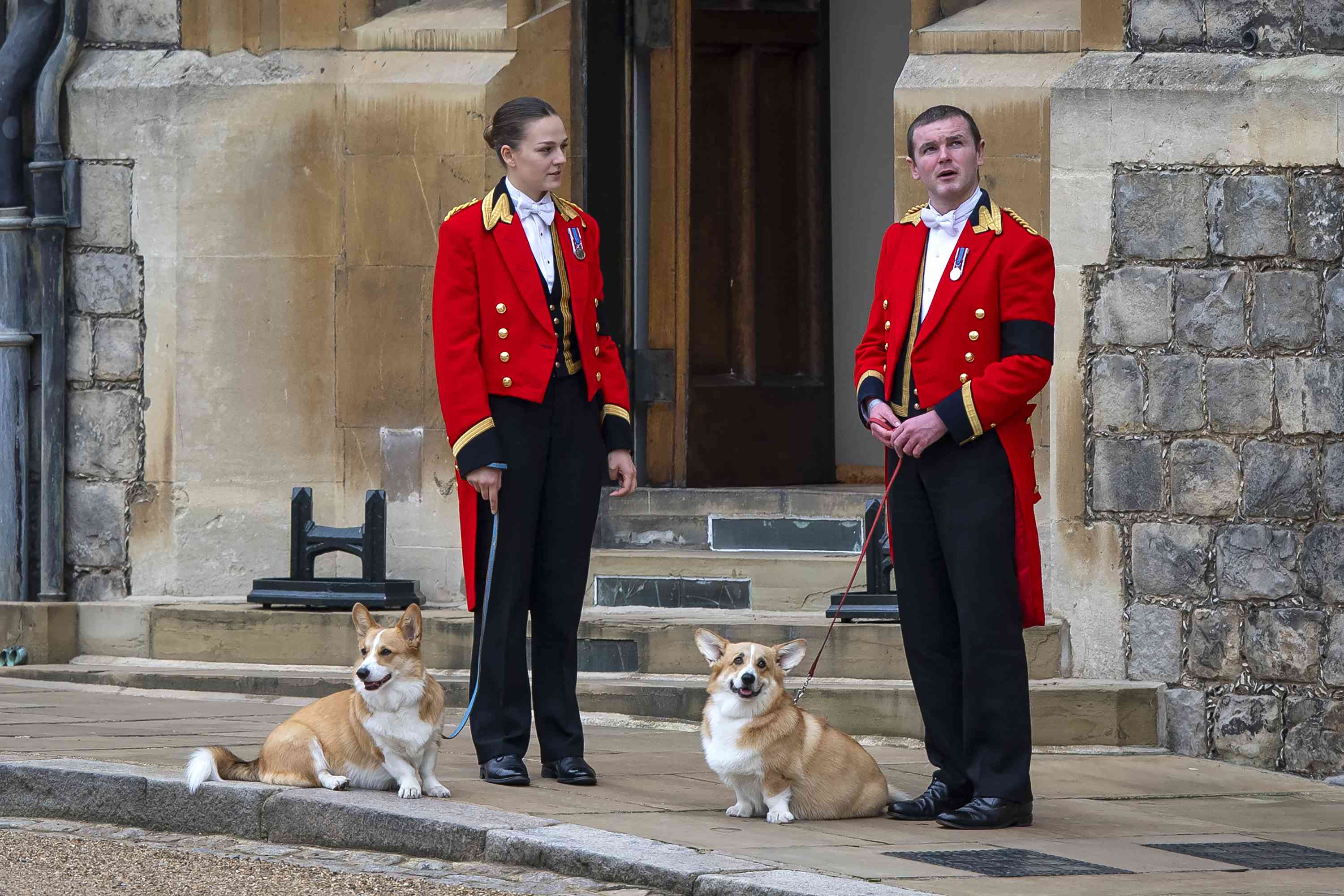 Kate Middleton and Prince William Share Rare Photo of Dog Orla