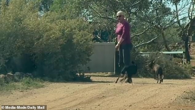 Despite the vast, featureless landscape surrounding the property, the boy managed to evade all search efforts and even the location of his remains is a mystery