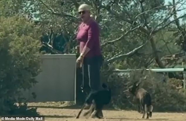 Gus's grandparent, Josie Murray - a transgender woman who locals say transitioned many years ago - told the Daily Mail the family had not lost hope