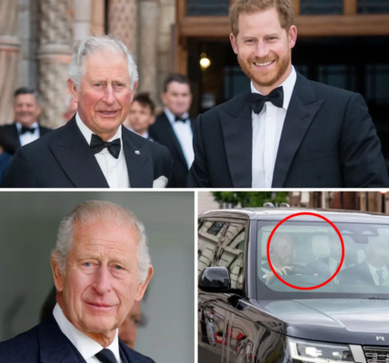 ROYAL SHOWDOWN: King Charles to Make “Strong Decisions” After Closed-Door Meeting With Prince Harry — Palace Shaken by What Was Said ROYAL SHOWDOWN: King Charles to Make “Strong Decisions” After Closed-Door Meeting With Prince Harry — Palace Shaken by What Was Said