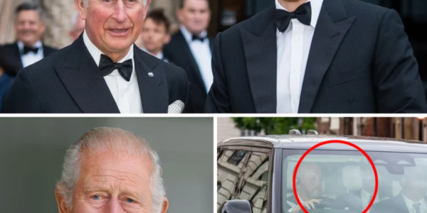 ROYAL SHOWDOWN: King Charles to Make “Strong Decisions” After Closed-Door Meeting With Prince Harry — Palace Shaken by What Was Said ROYAL SHOWDOWN: King Charles to Make “Strong Decisions” After Closed-Door Meeting With Prince Harry — Palace Shaken by What Was Said