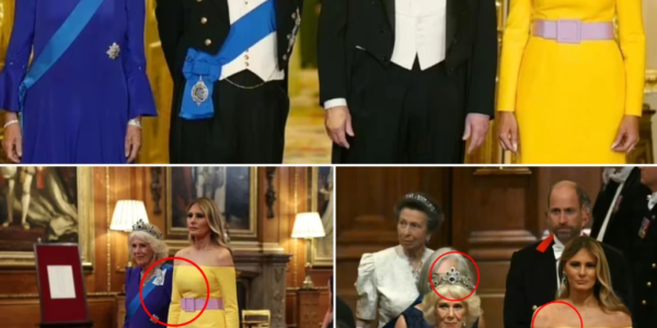 MELANIA TRUMP TURNS HEADS at State Banquet With DARING Outfit — But Royal Fans All Had the SAME Complaint MELANIA TRUMP TURNS HEADS at State Banquet With DARING Outfit — But Royal Fans All Had the SAME Complaint