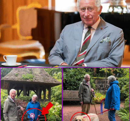 30 MINUTES AGO: King Charles III Crowns Golden Retriever Gabby as “Dog of the Decade” at Dumfries House