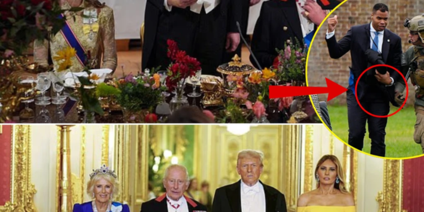 BANQUET CHAOS! King’s Chefs In Furious CLASH With Security At Windsor Feast — Hidden Drama Behind The Glamour