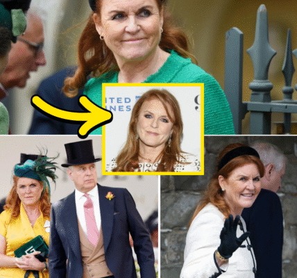“STRIPPED OF HER TITLE — BUT NOT HER SPIRIT”: Sarah Ferguson’s Reaction to Losing the Duchess of York Title Leaves Royals and Fans Stunned “STRIPPED OF HER TITLE — BUT NOT HER SPIRIT”: Sarah Ferguson’s Reaction to Losing the Duchess of York Title Leaves Royals and Fans Stunned
