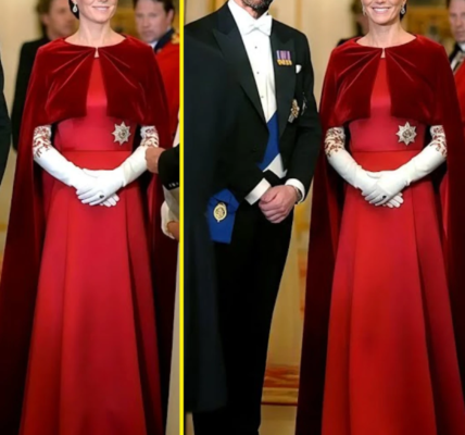 OMG! Princess Catherine STUNS In A Customized Gown With A Tiara She Had Never Worn Before At State Banquet Made Windsor Breathe OMG! Princess Catherine STUNS In A Customized Gown With A Tiara She Had Never Worn Before At State Banquet Made Windsor Breathe