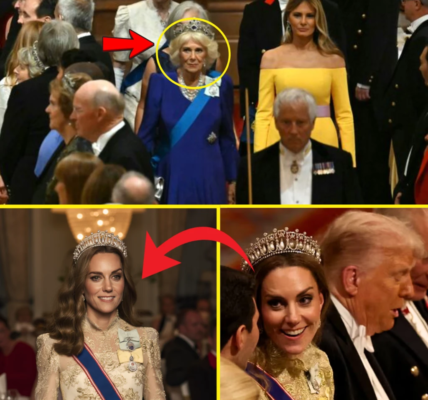 REVEALED: Princess Kate’s CRUCIAL role in Donald Trump’s UK State Visit Left Camilla SPEECHLESS – ‘Our New Queen Is Shining On’ REVEALED: Princess Kate’s CRUCIAL role in Donald Trump’s UK State Visit Left Camilla SPEECHLESS – ‘Our New Queen Is Shining On’