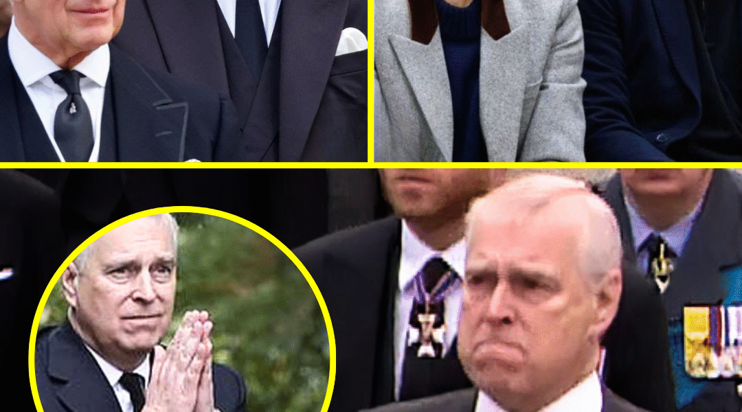 “SUSSEX NEXT?!”: Harry & Meghan SWEATING After King Charles & William STRIP Andrew’s Royal Titles “SUSSEX NEXT?!”: Harry & Meghan SWEATING After King Charles & William STRIP Andrew’s Royal Titles