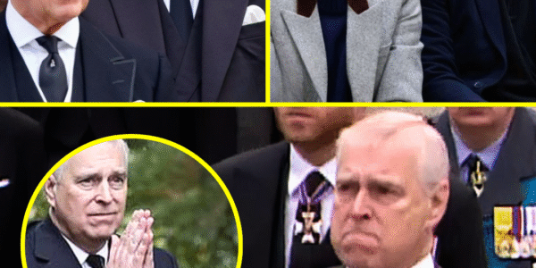 “SUSSEX NEXT?!”: Harry & Meghan SWEATING After King Charles & William STRIP Andrew’s Royal Titles “SUSSEX NEXT?!”: Harry & Meghan SWEATING After King Charles & William STRIP Andrew’s Royal Titles