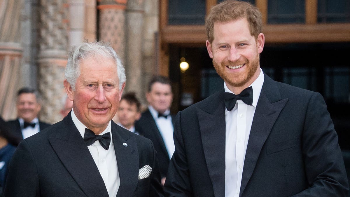 Prince Harry meets King Charles amid royal family reconciliation push | Fox  News