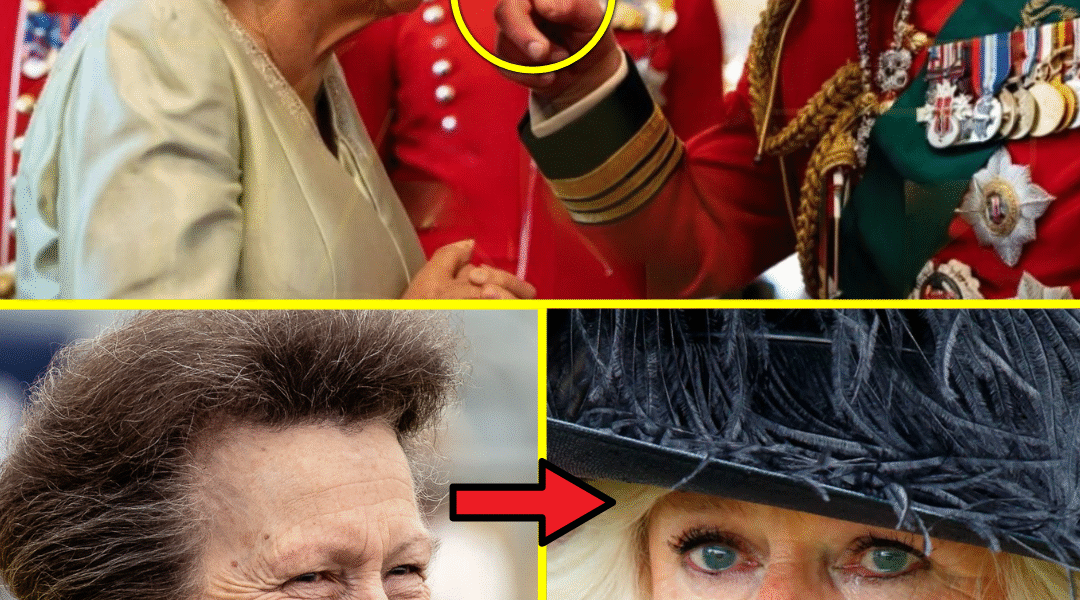 IT’S TIME! King Charles CUTS OFF Camilla from the ‘Queen Consort’ Title in Unprecedented Palace Showdown, Even Princess Royal Left SPEECHLESS! IT’S TIME! King Charles CUTS OFF Camilla from the ‘Queen Consort’ Title in Unprecedented Palace Showdown, Even Princess Royal Left SPEECHLESS!
