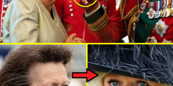 IT’S TIME! King Charles CUTS OFF Camilla from the ‘Queen Consort’ Title in Unprecedented Palace Showdown, Even Princess Royal Left SPEECHLESS!