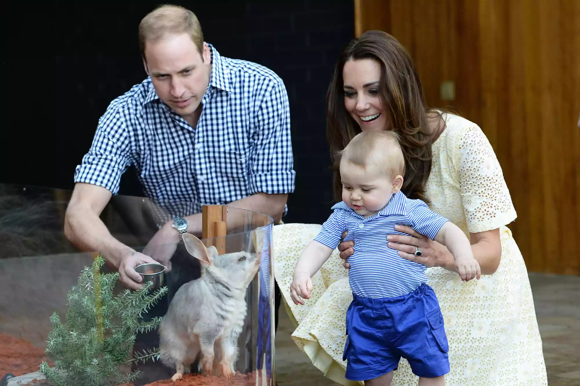 Prince William, Duke of Cambridge, Catherine, Duchess of Cambridge and Prince George of Cambridge meet a Bilby called George as they visit the Bilby Enclosure at Taronga Zoo