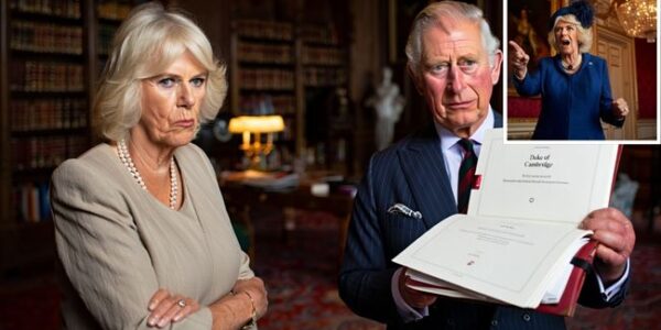 ROYAL DRAMA UNFOLDS: Queen Camilla’s SHOCKED Reaction After Prince Louis Gets Major Royal Title Over Her Grandson! In an unexpected move that has left the royal family buzzing, King Charles has granted Prince Louis a huge royal title—Duke of Cambridge, a title previously held by his father, Prince William. But the decision didn’t sit well with everyone… Queen Camilla was reportedly furious when her grandson, Arthur, was passed over for the prestigious honor, causing tension at the heart of the monarchy. As the youngest Cambridge child steps into a larger royal role, the Queen consort couldn’t hide her frustration, even making a bold statement: “He’s not capable.” Could this royal move signal a shift in how titles are being passed down? Is this the start of a new era in the monarchy or a royal rift waiting to explode? The drama has everyone talking, and the family tensions are undeniable. You won’t want to miss this inside scoop on the royal family’s latest twist!
