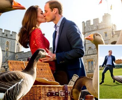 Dateline Windsor: The Great Picnic Chase! Who needs action movies when the royal family is out having a picnic? During a countryside picnic at Windsor, Prince William and Duchess Kate found themselves in the middle of what looked like a full-blown romantic comedy chase scene. Just as the couple settled in with their basket of muffins, a flock of mischievous geese stormed the field—wings flapping, feathers flying, chaos everywhere! Prince William? He bolted across the grass with the basket like it was the crown jewels, trying to save the baked goods. Meanwhile, Kate stole the show—completely calm, completely collected. She laughed, wrangled one of the geese like a pro, and even managed to lean in and kiss William right in the middle of the madness. Witnesses couldn’t stop laughing, calling it a “scene out of a rom-com,” while others crowned Kate the one true Goose Whisperer. It was silly, sweet, and perfectly them. Because if there’s one thing we’ve learned about William and Kate, it’s that no matter what—whether it’s canoe races, go-karts, or geese on the loose—they always turn life into a love story