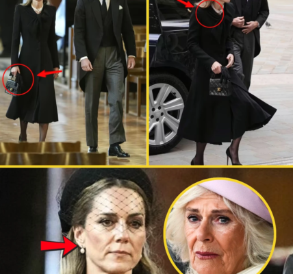 1 HOUR AGO: Princess Catherine Rocks the UK With SH0CKING Message Through Her Queen Black Outfit As She and Prince William Led Mourners at the Duchess of Kent’s Funeral – Camilla FORCED to Pull Out At Last Minutes Due to Illness 1 HOUR AGO: Princess Catherine Rocks the UK With SH0CKING Message Through Her Queen Black Outfit As She and Prince William Led Mourners at the Duchess of Kent’s Funeral – Camilla FORCED to Pull Out At Last Minutes Due to Illness
