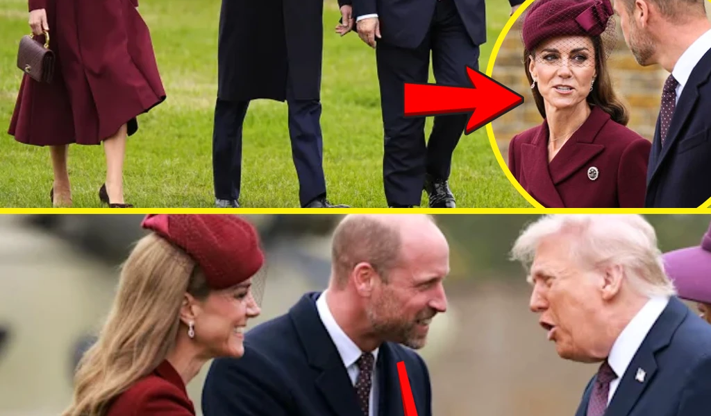 MINUTES AGO: Princess Catherine APPEARED STUNNING with Prince William At The Welcoming State Ceremony For US President and First Lady MINUTES AGO: Princess Catherine APPEARED STUNNING with Prince William At The Welcoming State Ceremony For US President and First Lady
