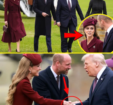 MINUTES AGO: Princess Catherine APPEARED STUNNING with Prince William At The Welcoming State Ceremony For US President and First Lady MINUTES AGO: Princess Catherine APPEARED STUNNING with Prince William At The Welcoming State Ceremony For US President and First Lady