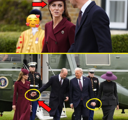 “ARE YOU OKAY, DARLING?!”: Prince William’s TENDER Gesture For Princess Catherine During Trump Meeting Makes Fans Swoon! “ARE YOU OKAY, DARLING?!”: Prince William’s TENDER Gesture For Princess Catherine During Trump Meeting Makes Fans Swoon!