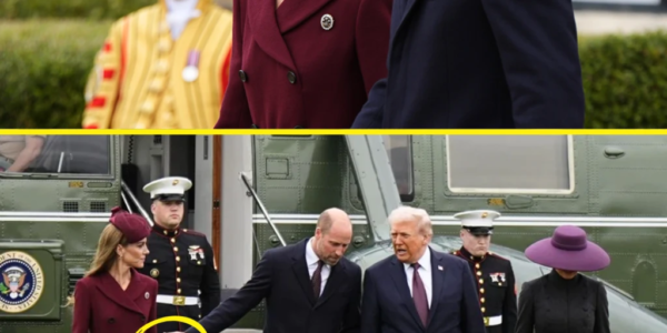 “ARE YOU OKAY, DARLING?!”: Prince William’s TENDER Gesture For Princess Catherine During Trump Meeting Makes Fans Swoon! “ARE YOU OKAY, DARLING?!”: Prince William’s TENDER Gesture For Princess Catherine During Trump Meeting Makes Fans Swoon!