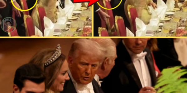 CAUGHT ON CAMERA: Trump’s UNEXPECTED Chair Pull for Princess Catherine at Windsor Banquet GOES VIRAL and SH0CKS Everyone